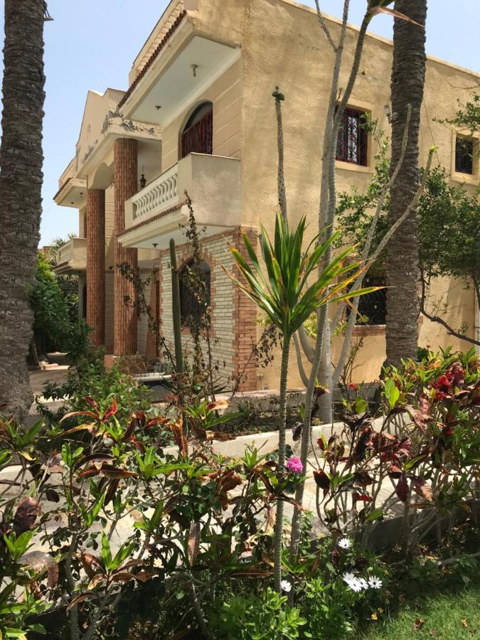 4 Bedroom Superior Family Villa With Private Pool, 5 Min From Beach Abu Talat Александрия Экстерьер фото
